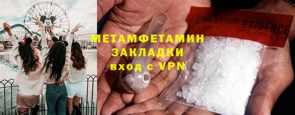 трава Белокуриха