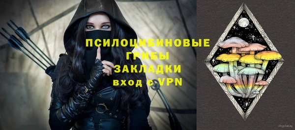 гашик Беломорск