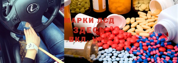 трава Белокуриха